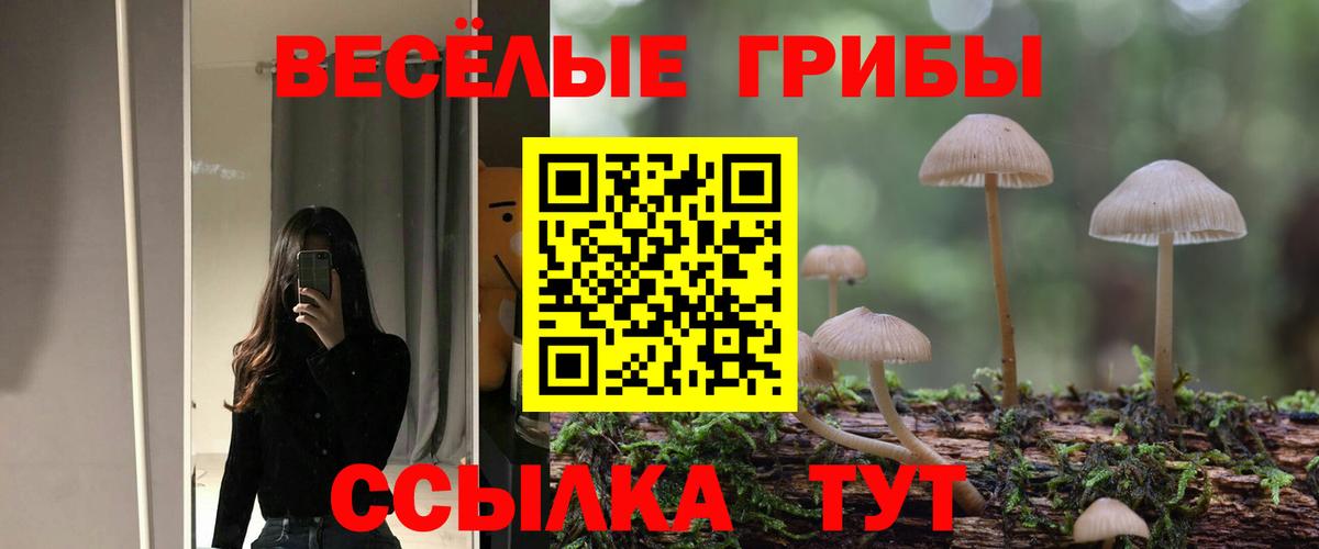 Псилоцибиновые грибы Psilocybine cubensis  наркошоп  Минусинск  Вход с VPN 
